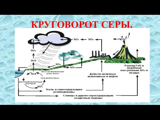 КРУГОВОРОТ СЕРЫ.