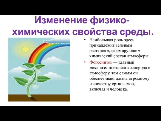 Изменение физико-химических свойства среды. Наибольшая роль здесь принадлежит зеленым растениям,