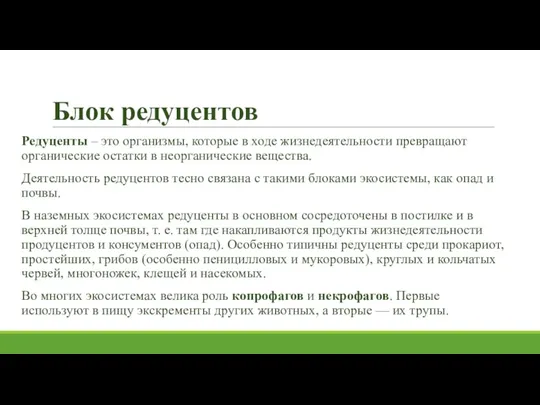 Блок редуцентов Редуценты – это организмы, которые в ходе жизнедеятельности превращают органические остатки