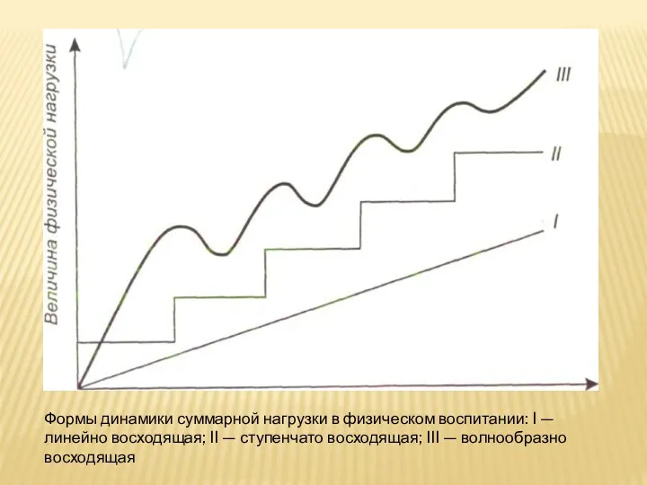 Формы динамики суммарной нагрузки в физическом воспитании: I — линейно