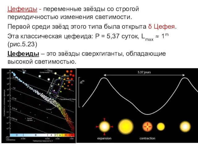 Цефеиды - переменные звёзды со строгой периодичностью изменения светимости. Первой