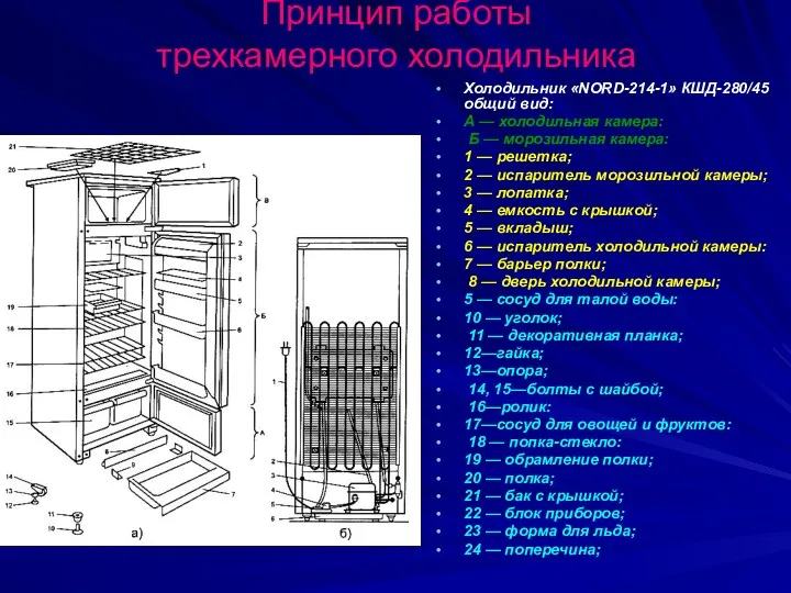 Принцип работы трехкамерного холодильника Холодильник «NORD-214-1» КШД-280/45 общий вид: А