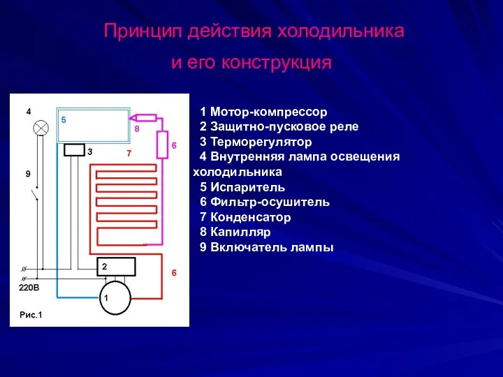 Принцип действия холодильника и его конструкция 1 Мотор-компрессор 2 Защитно-пусковое