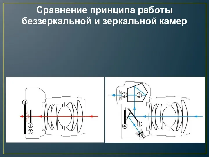 Сравнение принципа работы беззеркальной и зеркальной камер