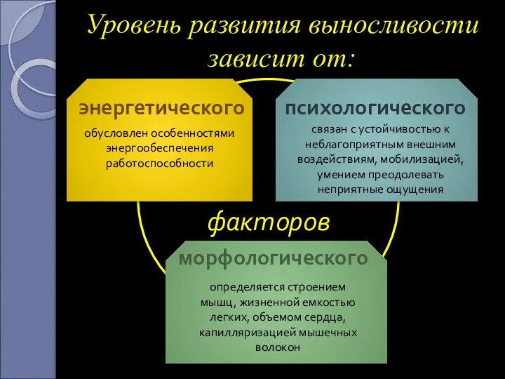 Уровень развития выносливости зависит от: энергетического обусловлен особенностями энергообеспечения работоспособности морфологического определяется строением