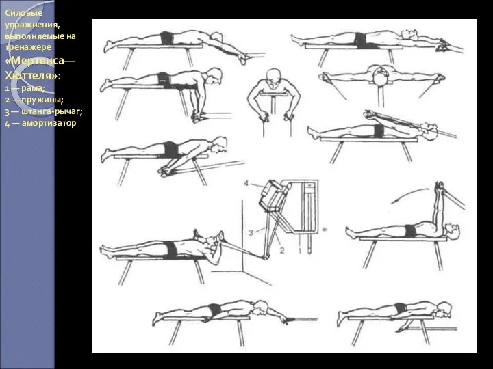 Силовые упражнения, выполняемые на тренажере «Мертенса—Хюттеля»: 1 — рама; 2 — пружины; 3