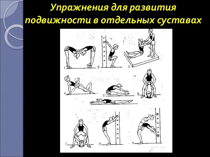 Упражнения для развития подвижности в отдельных суставах