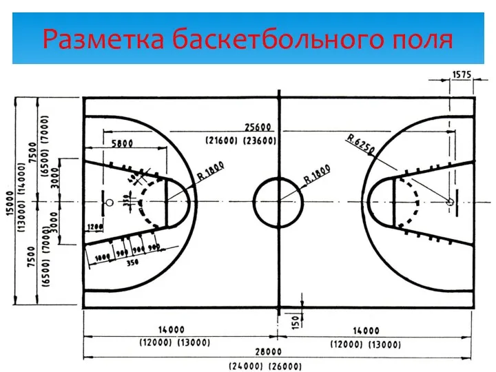 Разметка баскетбольного поля