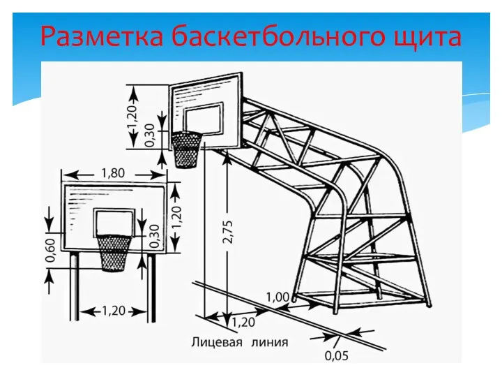 Разметка баскетбольного щита