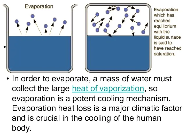 . In order to evaporate, a mass of water must collect the large