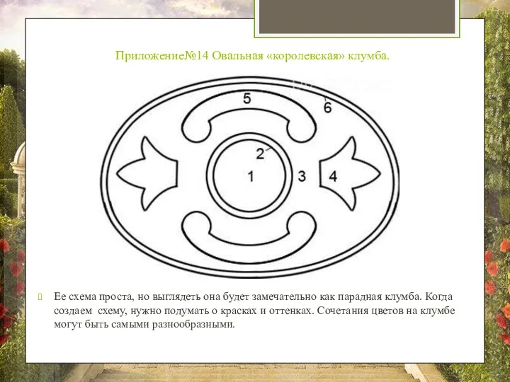 Приложение№14 Овальная «королевская» клумба. Ее схема проста, но выглядеть она