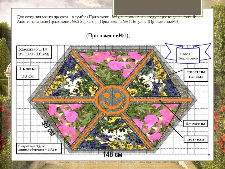 Для создания моего проекта – клумбы (Приложение№1), использовала следующие виды