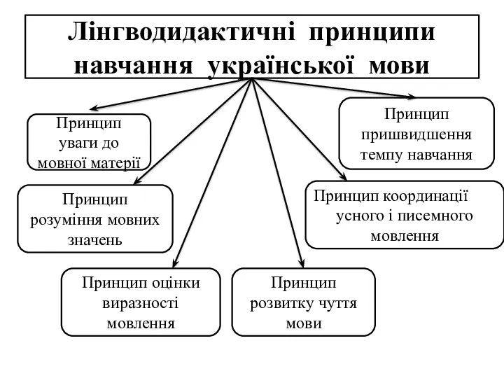 Лінгводидактичні принципи навчання української мови Принцип уваги до мовної матерії Принцип розуміння мовних