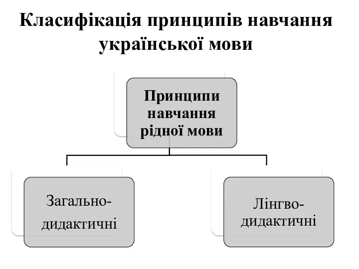 Класифікація принципів навчання української мови