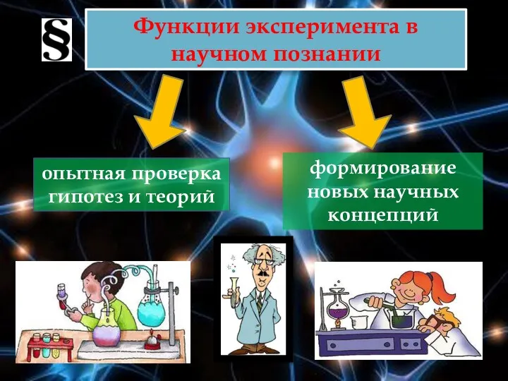 Функции эксперимента в научном познании опытная проверка гипотез и теорий формирование новых научных концепций