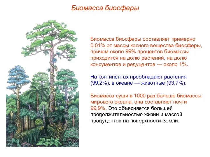 Биомасса биосферы Биомасса биосферы составляет примерно 0,01% от массы косного