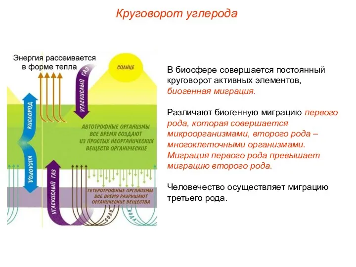 В биосфере совершается постоянный круговорот активных элементов, биогенная миграция. Различают