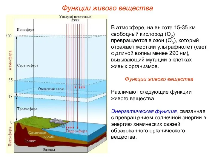 В атмосфере, на высоте 15-35 км свободный кислород (О2) превращается