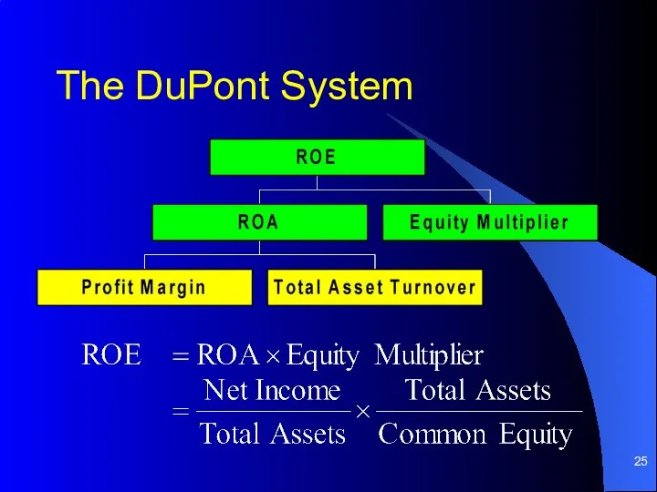 The DuPont System