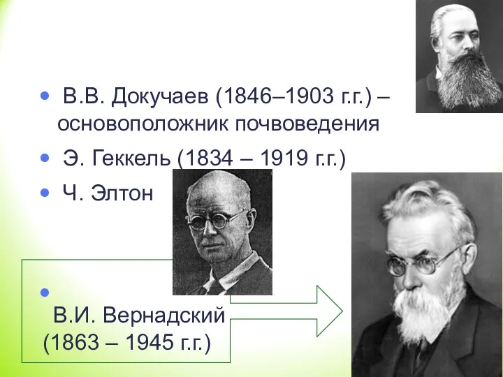 В.В. Докучаев (1846–1903 г.г.) – основоположник почвоведения Э. Геккель (1834