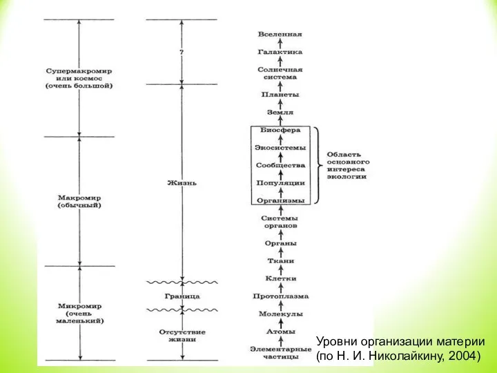 Уровни организации материи (по Н. И. Николайкину, 2004)