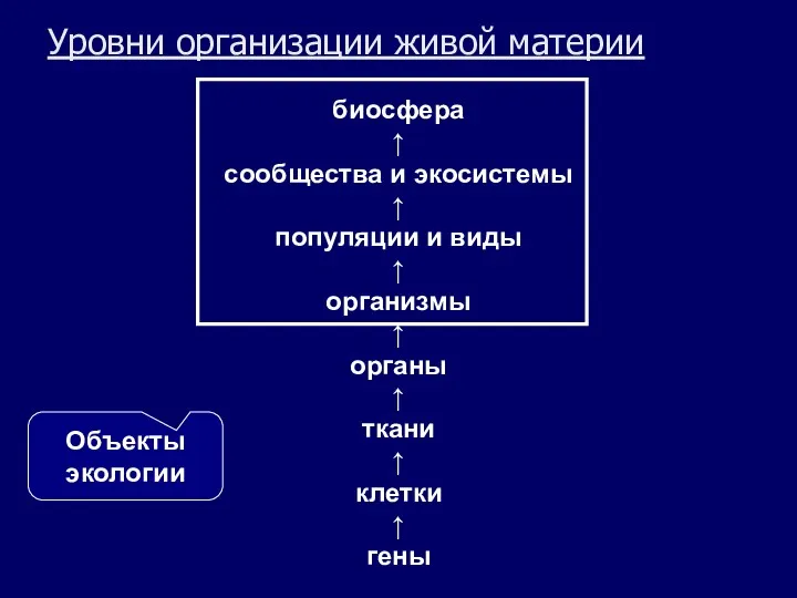 Уровни организации живой материи биосфера ↑ сообщества и экосистемы ↑ популяции и виды