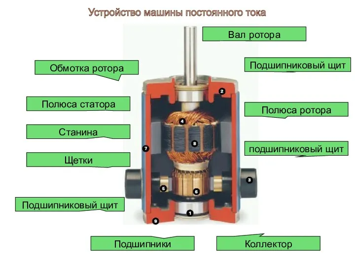 Обмотка ротора Полюса статора Станина Щетки Подшипниковый щит Подшипники Вал ротора Подшипниковый щит