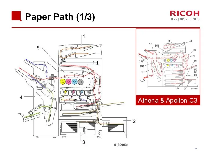 Paper Path (1/3) Athena & Apollon-C3