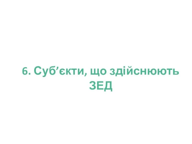 6. Суб’єкти, що здійснюють ЗЕД