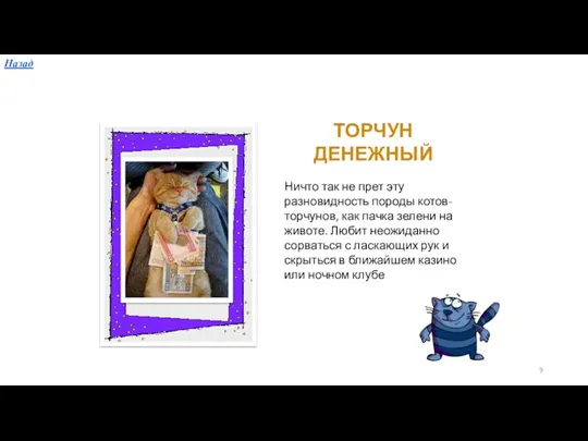 ТОРЧУН ДЕНЕЖНЫЙ Ничто так не прет эту разновидность породы котов-торчунов,