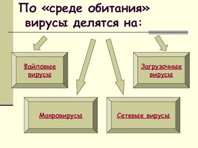 По «среде обитания» вирусы делятся на: Файловые вирусы Макровирусы Загрузочные вирусы Сетевые вирусы