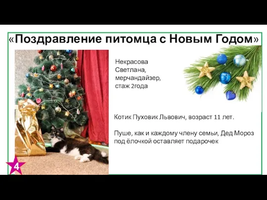 «Поздравление питомца с Новым Годом» Некрасова Светлана, мерчандайзер, стаж 2года