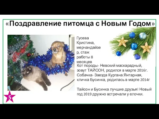 «Поздравление питомца с Новым Годом» Гусева Кристина, мерчандайзер, стаж работы