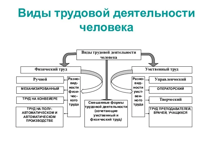 Виды трудовой деятельности человека