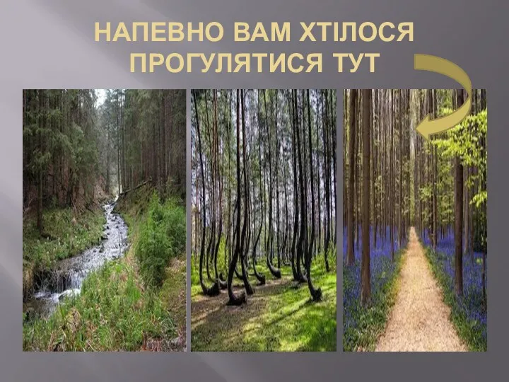 НАПЕВНО ВАМ ХТІЛОСЯ ПРОГУЛЯТИСЯ ТУТ