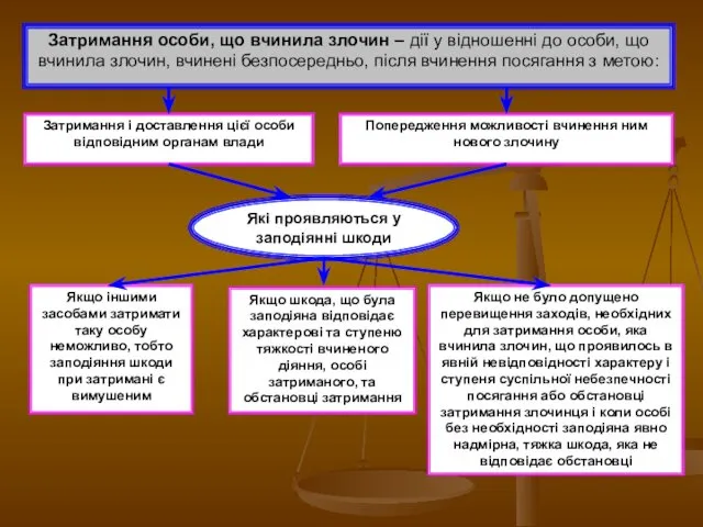 Затримання особи, що вчинила злочин – дії у відношенні до