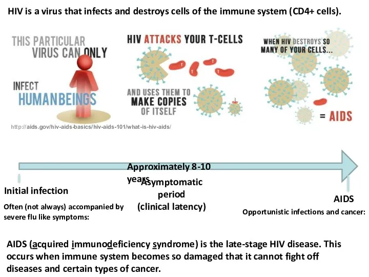 HIV is a virus that infects and destroys cells of