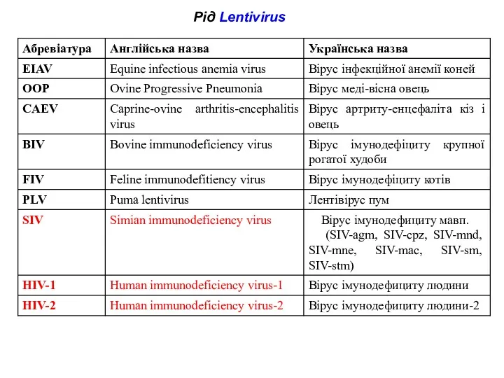 Рід Lentivirus