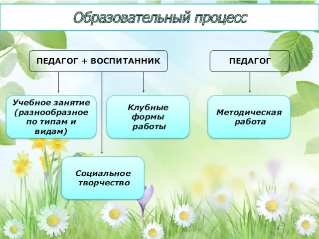 Образовательный процесс ПЕДАГОГ + ВОСПИТАННИК ПЕДАГОГ Учебное занятие (разнообразное по