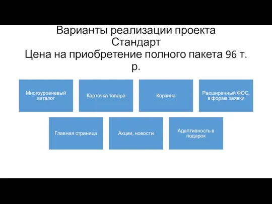 Варианты реализации проекта Стандарт Цена на приобретение полного пакета 96