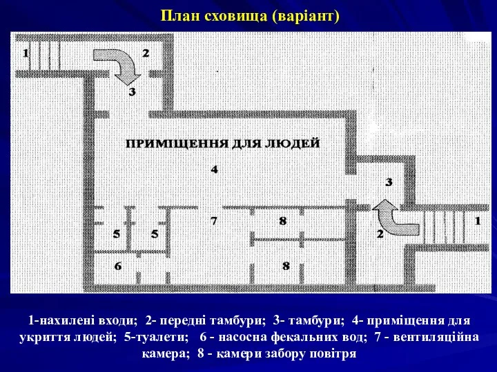 План сховища (варіант) 1-нахилені входи; 2- передні тамбури; 3- тамбури;