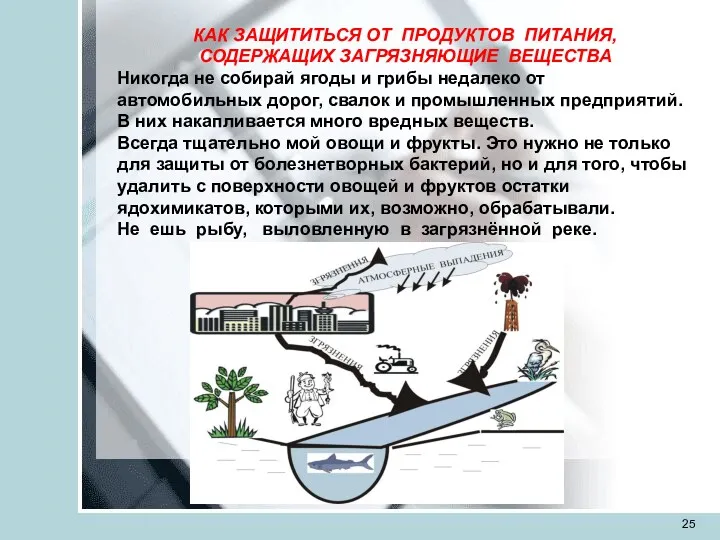 КАК ЗАЩИТИТЬСЯ ОТ ПРОДУКТОВ ПИТАНИЯ, СОДЕРЖАЩИХ ЗАГРЯЗНЯЮЩИЕ ВЕЩЕСТВА Никогда не