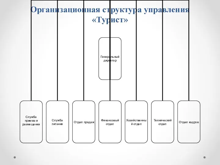 Организационная структура управления «Турист»