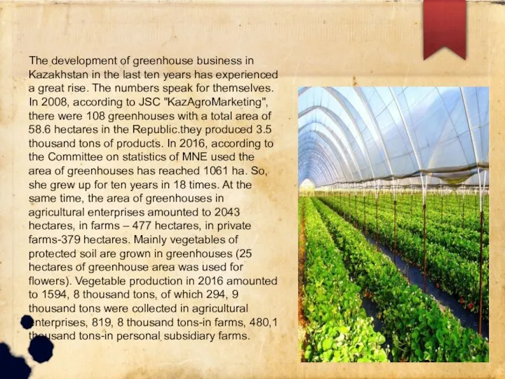 The development of greenhouse business in Kazakhstan in the last