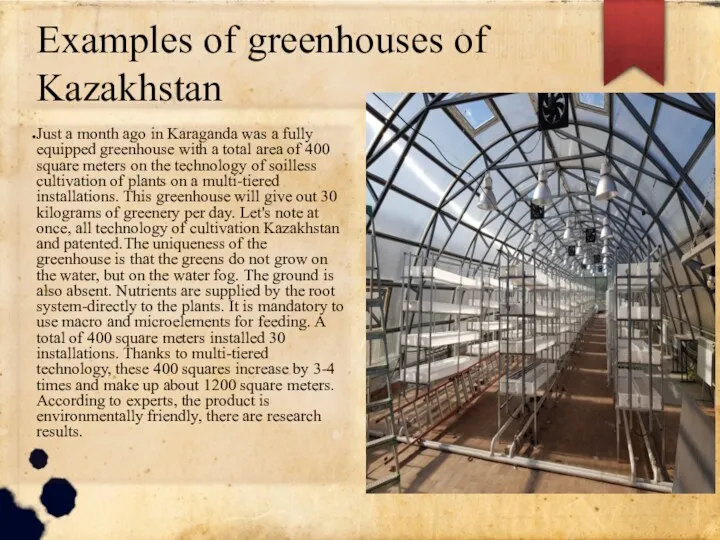 Examples of greenhouses of Kazakhstan Just a month ago in