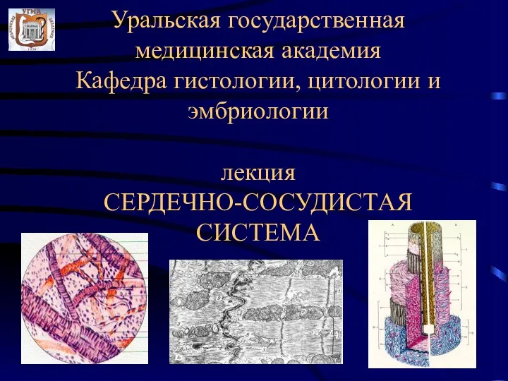 Уральская государственная медицинская академия Кафедра гистологии, цитологии и эмбриологии лекция СЕРДЕЧНО-СОСУДИСТАЯ СИСТЕМА