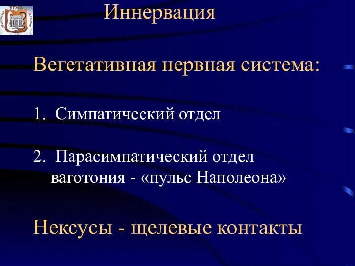 Иннервация Вегетативная нервная система: 1. Симпатический отдел 2. Парасимпатический отдел ваготония - «пульс