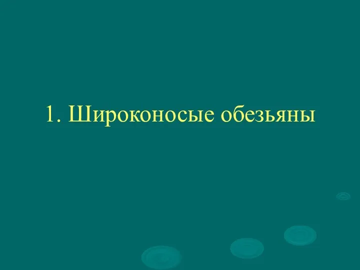 1. Широконосые обезьяны