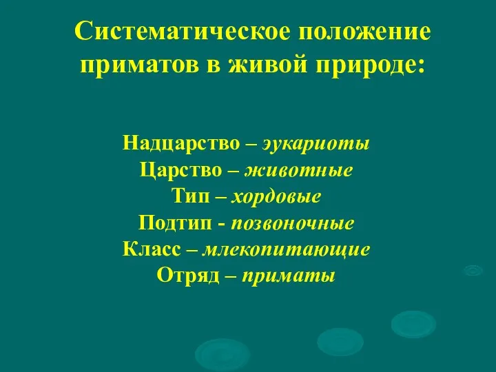 Систематическое положение приматов в живой природе: Надцарство – эукариоты Царство