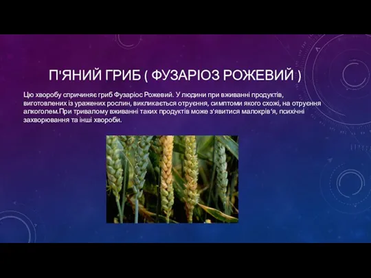 П'ЯНИЙ ГРИБ ( ФУЗАРІОЗ РОЖЕВИЙ ) Цю хворобу спричиняє гриб